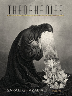cover image of Theophanies